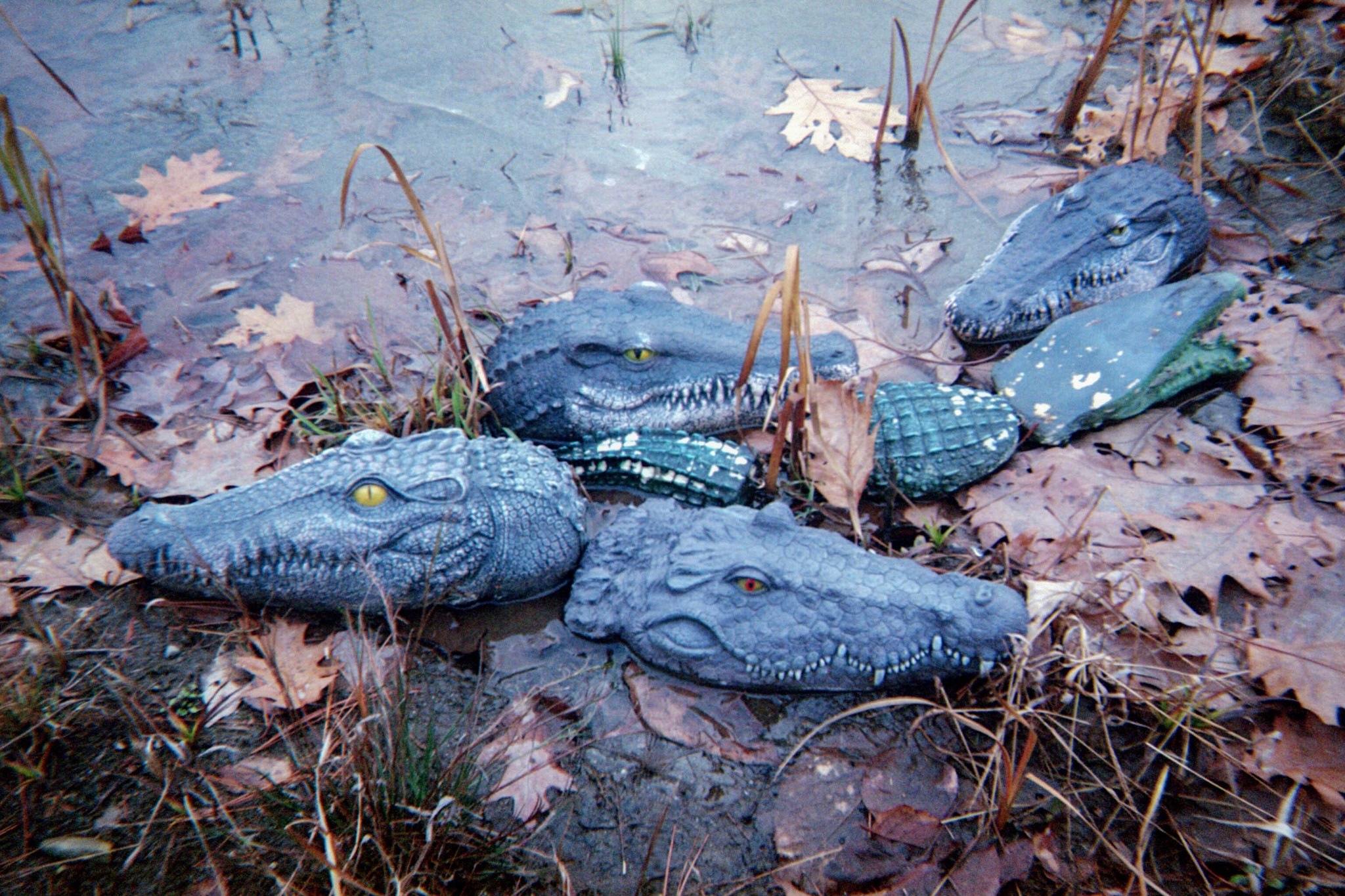 Alligator masks among fallen leaves